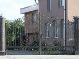 Gard si poarta din fier forjat